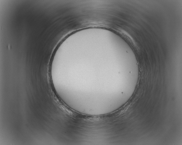 X0000073831182200609071507