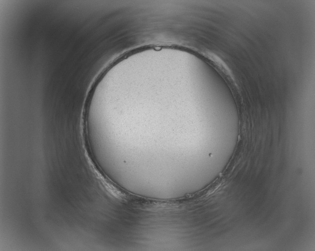 X0000073831183200609071507