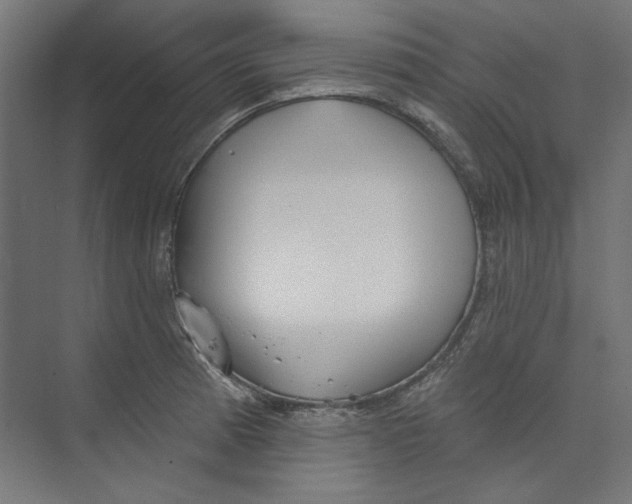 X0000073831185200609071507