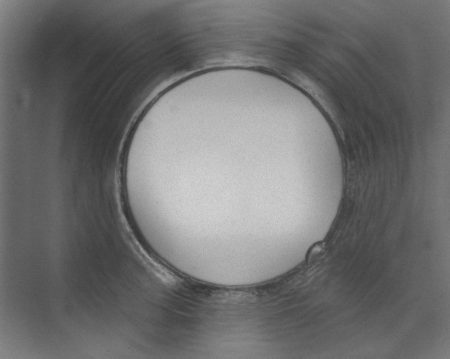 X0000073831187200609071507