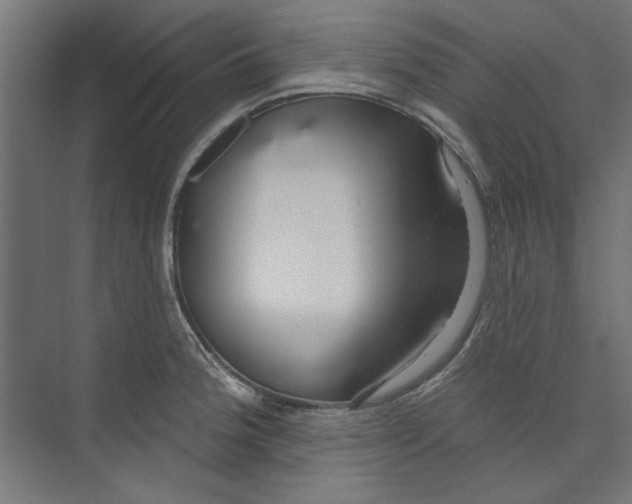 X0000073831188200609071507