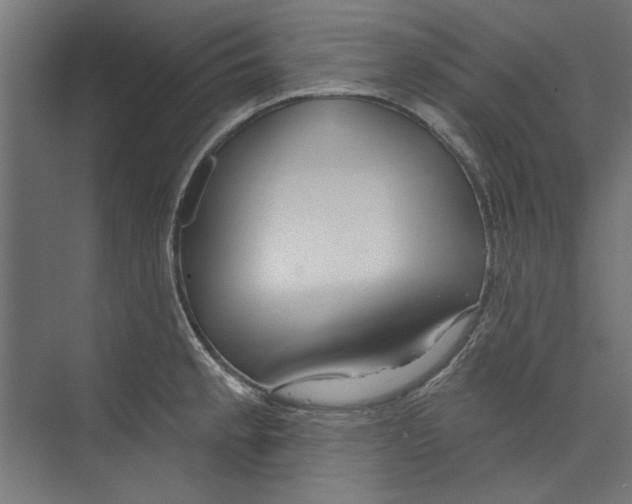 X0000073831189200609071507