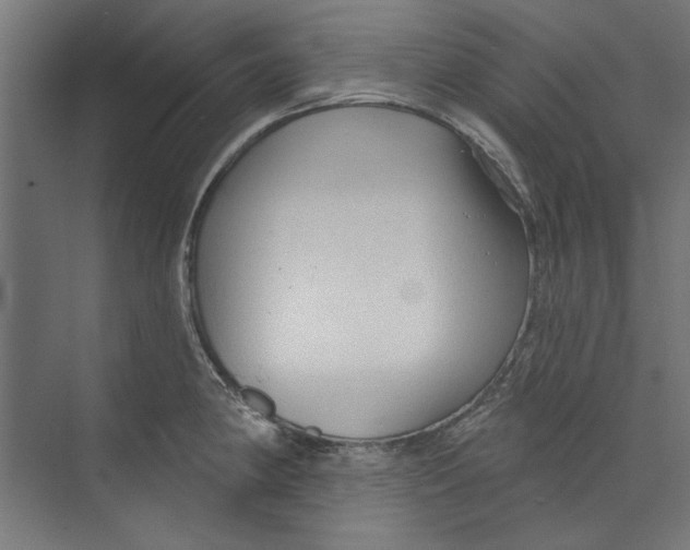 X0000073831190200609071507