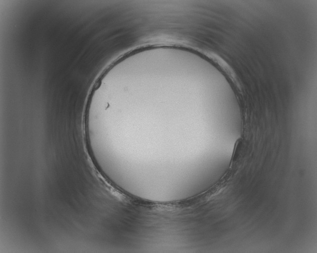 X0000073831191200609071507