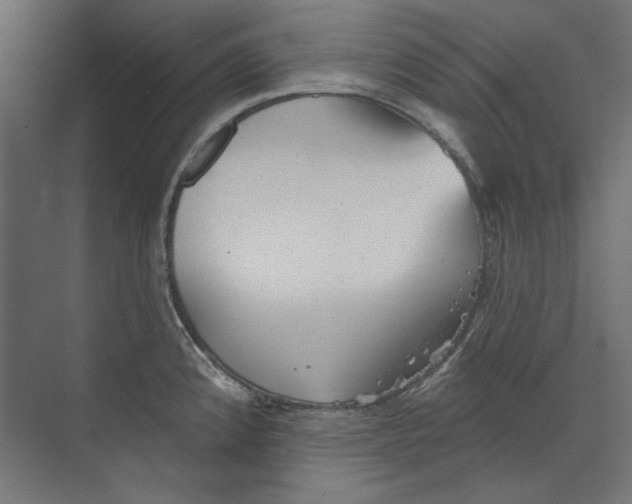 X0000073831192200609071507