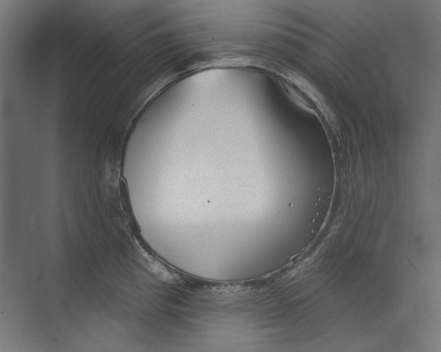 X0000073831193200609071507