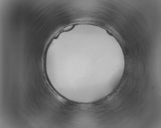 X0000073831196200609071507