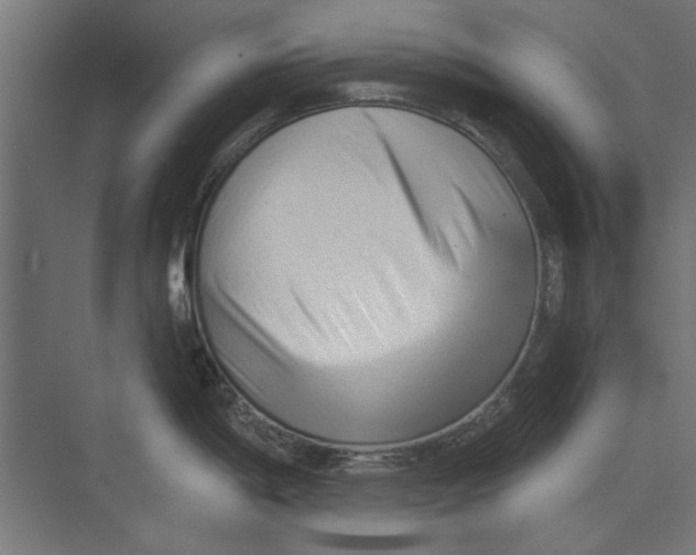 X0000073831198200609071507