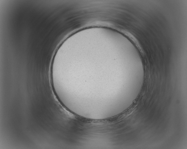 X0000073831199200609071507