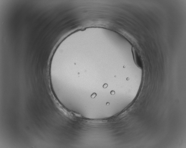 X0000073831200200609071507