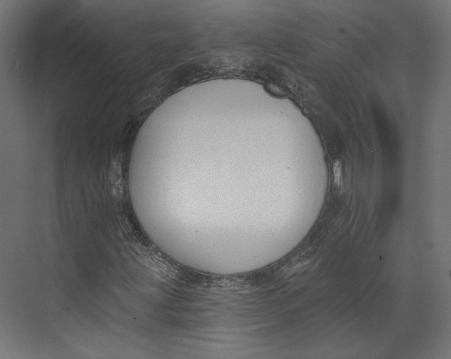 X0000073831203200609071506