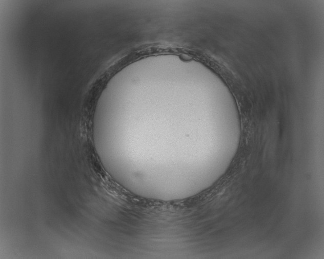 X0000073831207200609071506