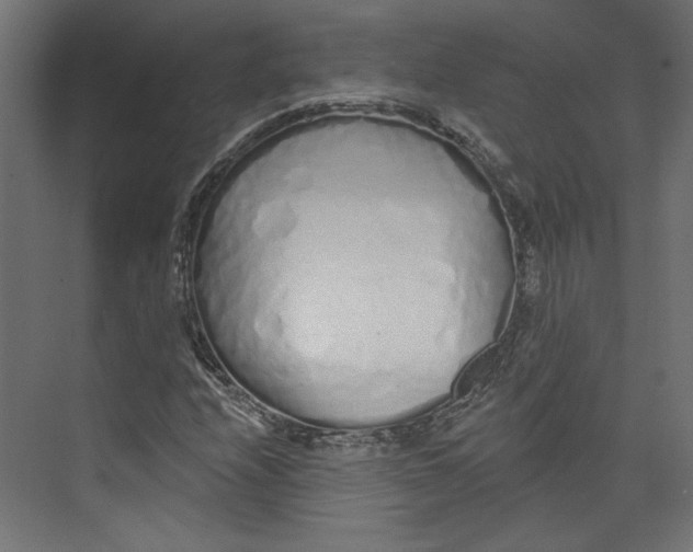 X0000073831208200609071506