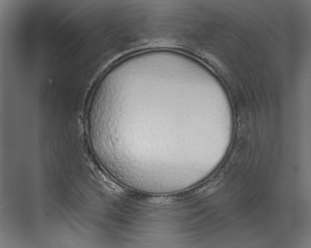 X0000073831212200609071506