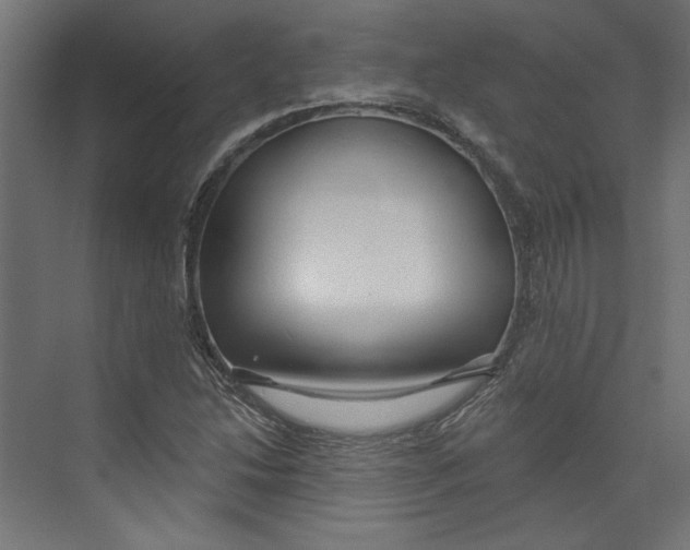 X0000073831214200609071506