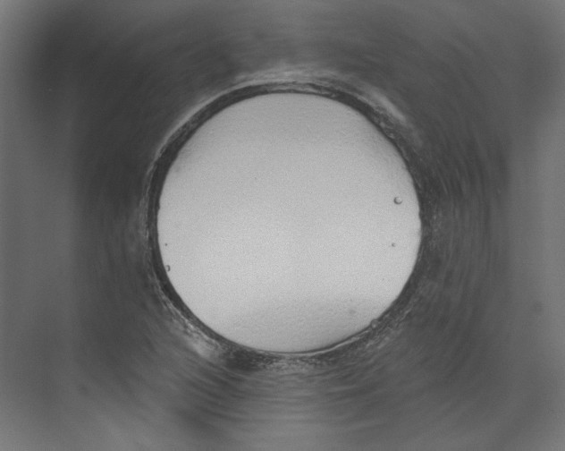 X0000073831216200609071506