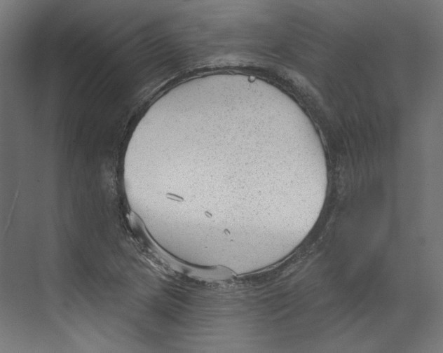 X0000073831217200609071506