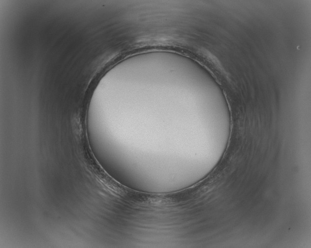 X0000073831218200609071506