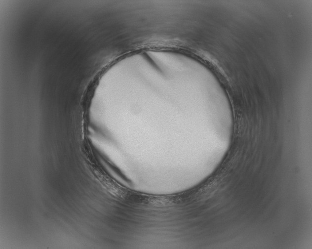 X0000073831219200609071506