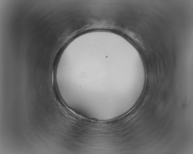 X0000073831221200609071506