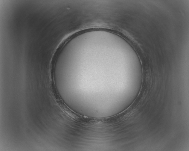 X0000073831222200609071506