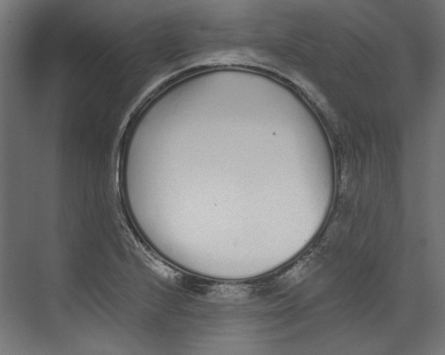 X0000073831224200609071506