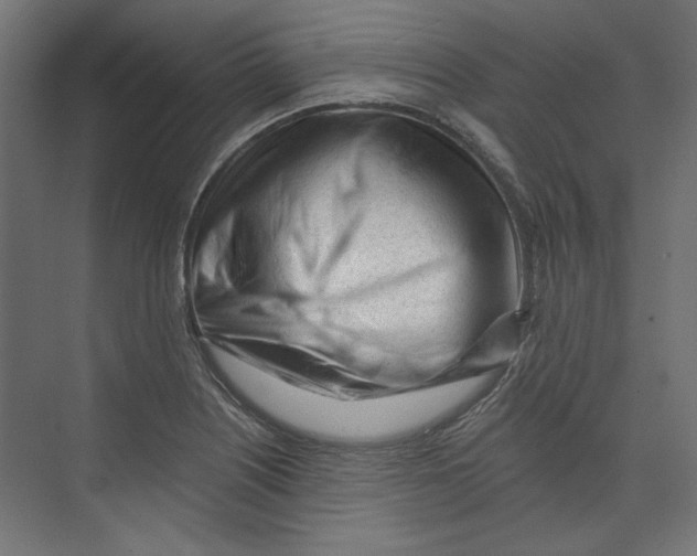 X0000073831226200609071506