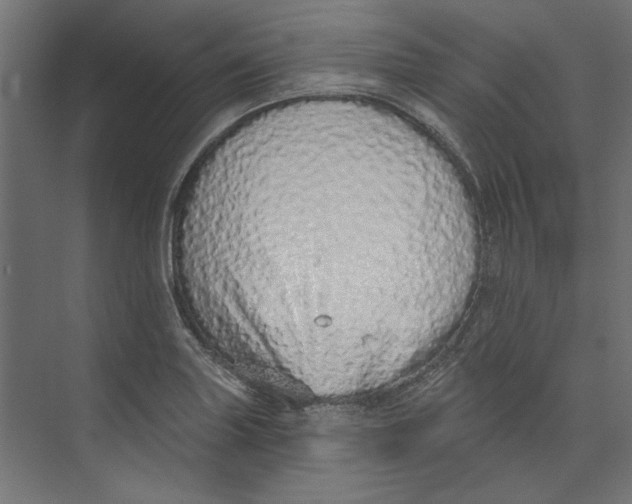 X0000073831227200609071506