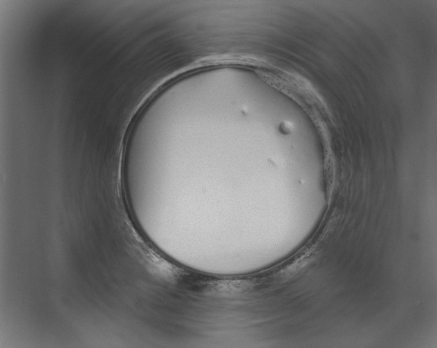 X0000073831228200609071506