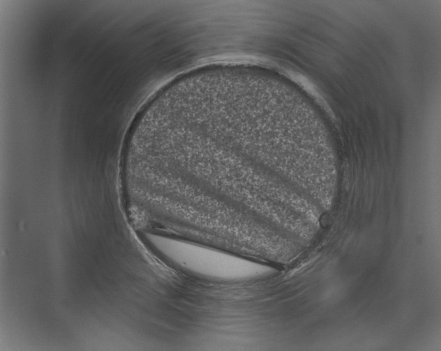 X0000073831229200609071506