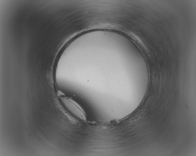 X0000073831230200609071506