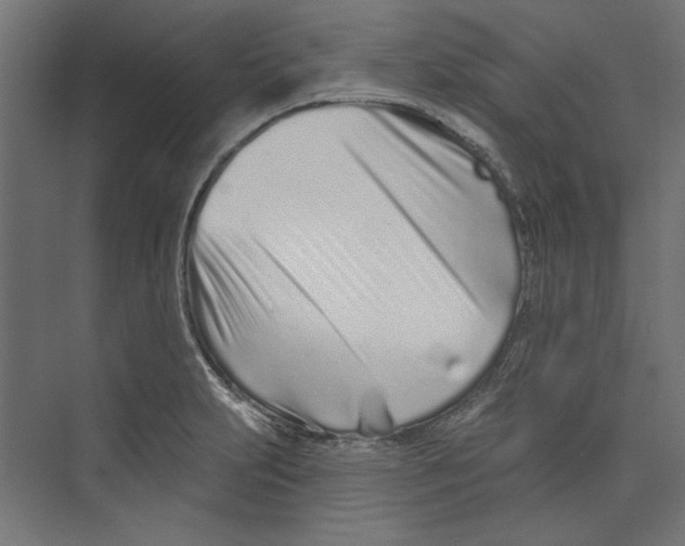 X0000073831231200609071506