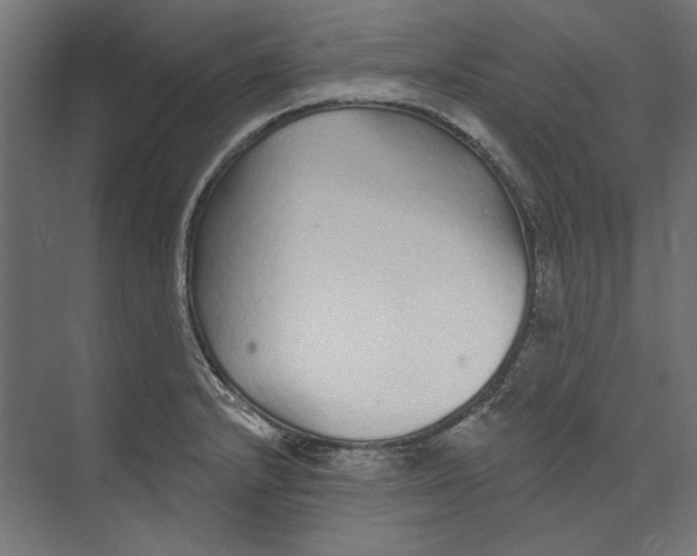 X0000073831232200609071506