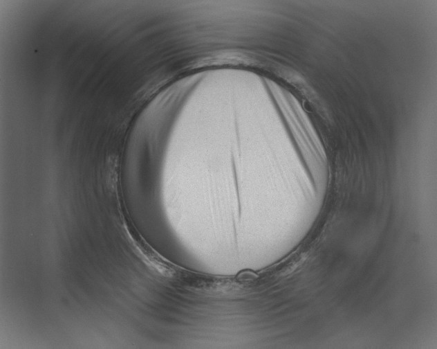 X0000073831233200609071506