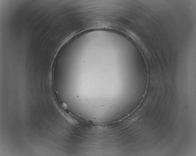 X0000073831234200609071506