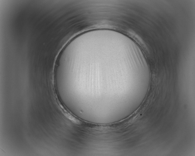 X0000073831236200609071506