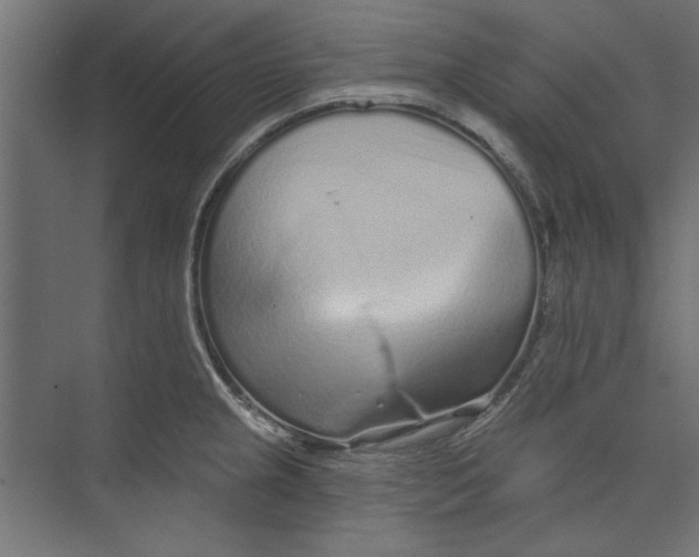 X0000073831237200609071506