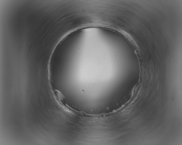 X0000073831238200609071506