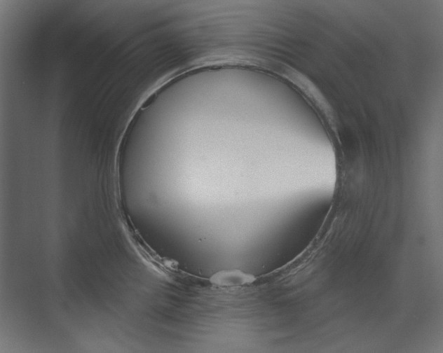 X0000073831242200609071506