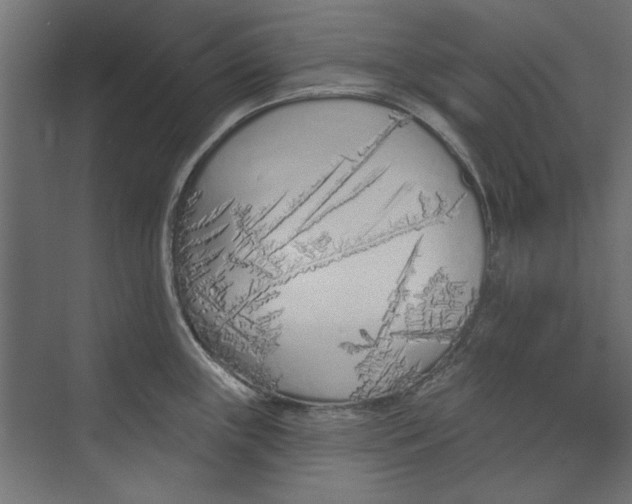 X0000073831243200609071506