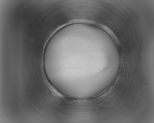 X0000073831244200609071506