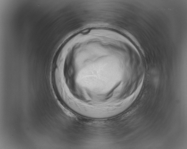 X0000073831245200609071506