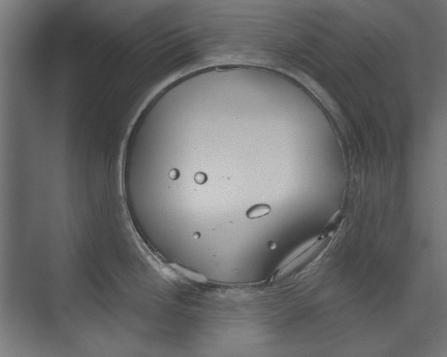 X0000073831246200609071506