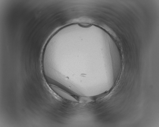 X0000073831248200609071507