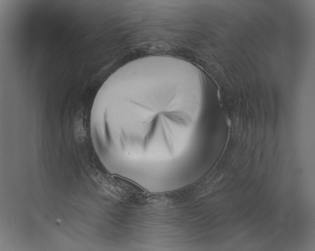 X0000073831250200609071506