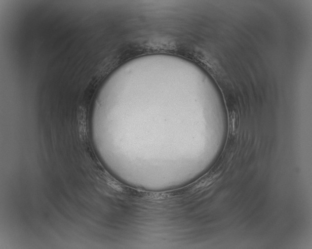 X0000073831251200609071506