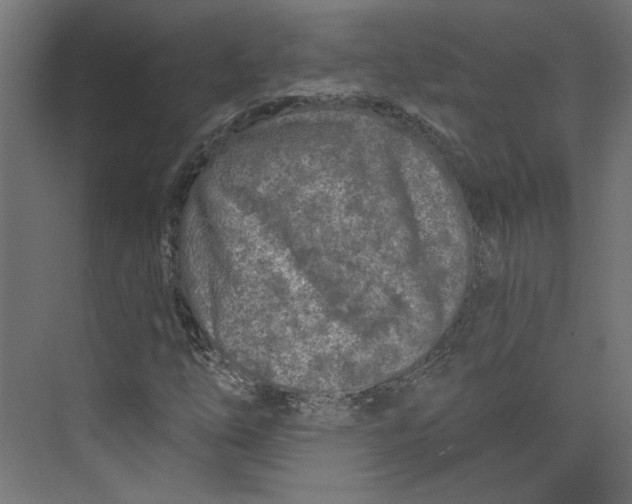 X0000073831254200609071506