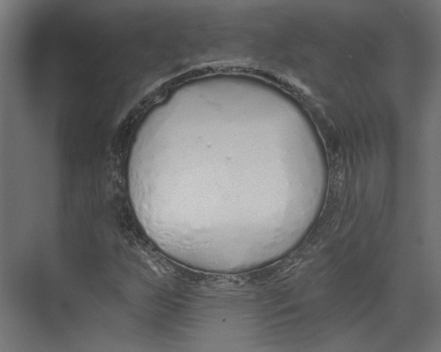 X0000073831255200609071506