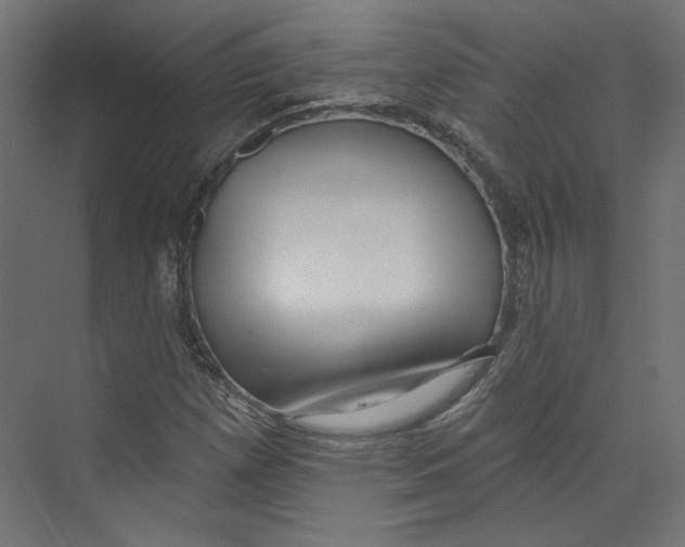 X0000073831257200609071506