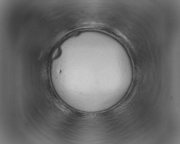 X0000073831259200609071506